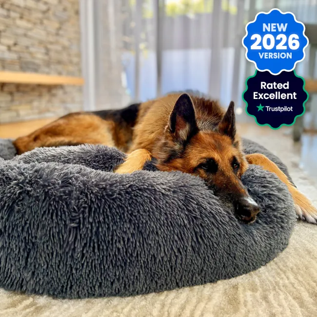 Dog Beds